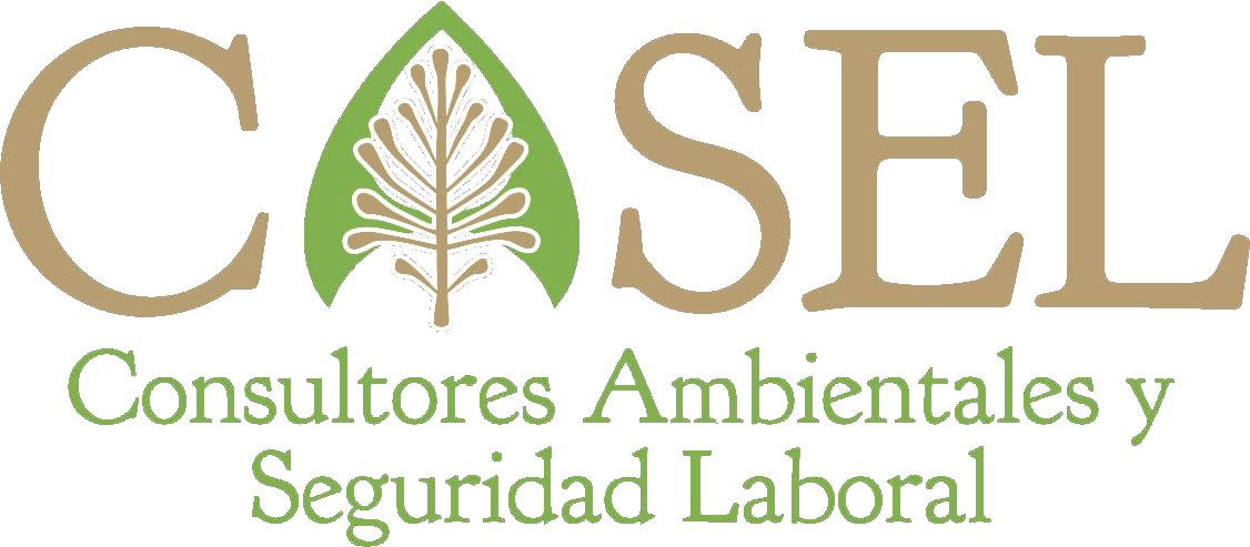 CASEL Consultores Ambientales y Seguridad Laboral